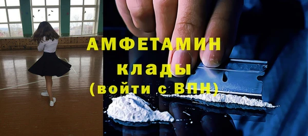 прущие крисы Каменка
