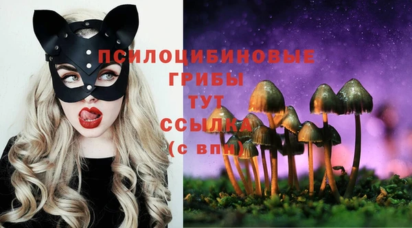прущие крисы Каменка