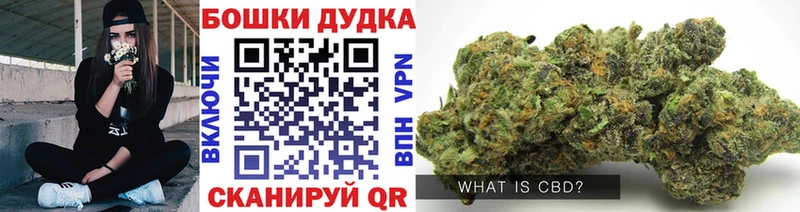 Купить где  Злынка  Бошки марихуана ГИДРОПОН 